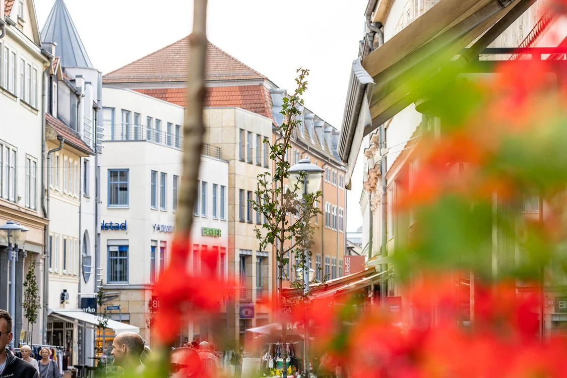 Wanderbaumalle in Gotha Blick in die Einkaufspassage Gothas, mit verschwommenen Pflanzen vor der Kameralinse