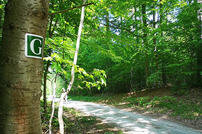 Zahlreiche Wanderwege mit Bezug auf Goethe gibt es in Thüringen zu entdecken. Bild: Anne-Marie Hartung