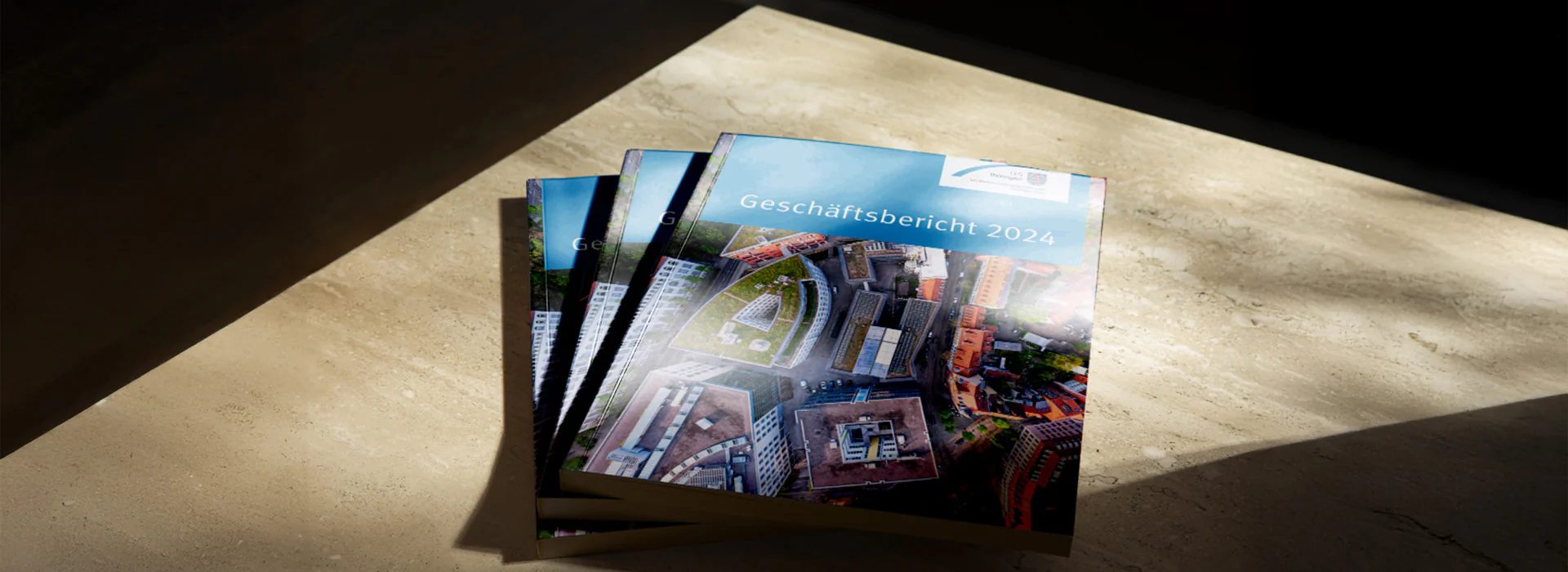 Bildbeschreibung / description:
